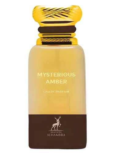 Mysterious Amber