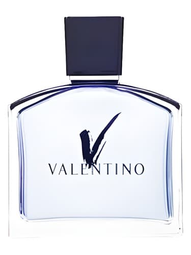 V pour Homme