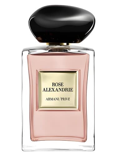 Rose Alexandrie